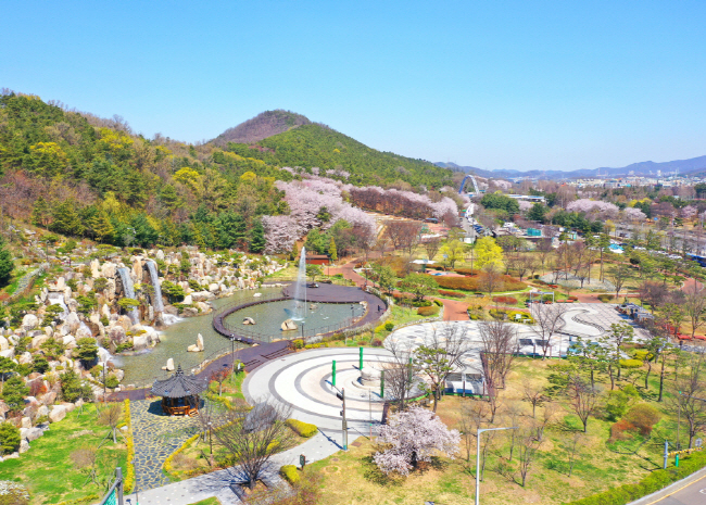 벚꽃 흩날리는 안산시...'올해는 사진으로 즐겨요'1