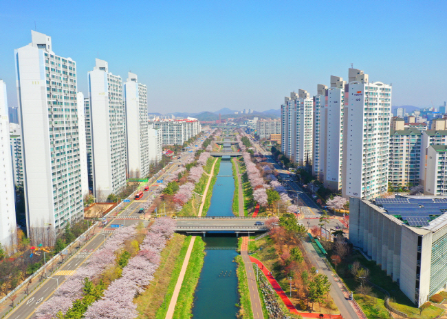 벚꽃 흩날리는 안산시...'올해는 사진으로 즐겨요'2