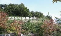자연이 선사하는 최고의 놀이터! 